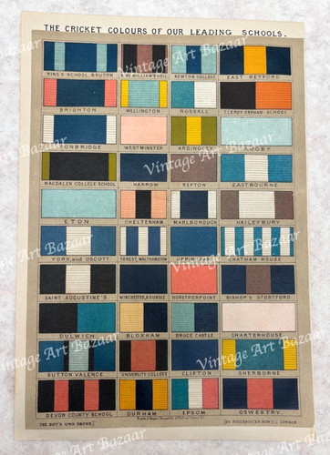 Cricket colours leading - colours,