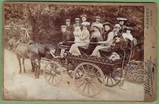 Horses & tourist carriage -