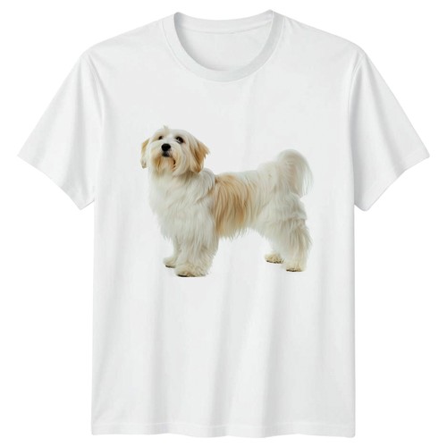 Cute havanese dog - dog, t-shirt
