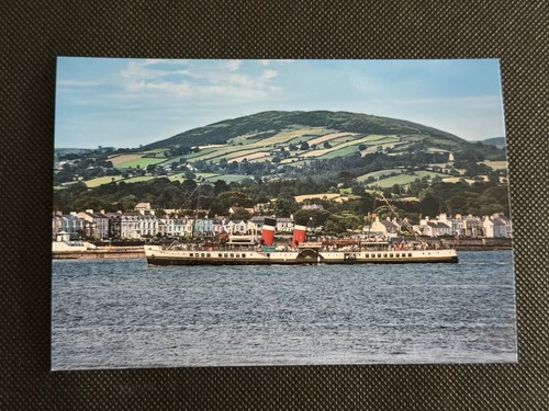 6x4 print paddle steamer - print,