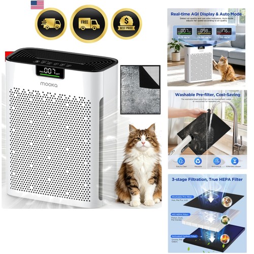 Air purifier for - air,