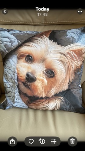 Yorkshire terrier dog cushion - yorkshire,