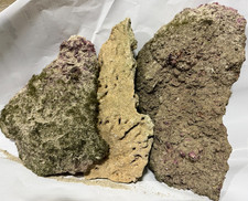 MARINE AQUARIUM LIVE LARGE