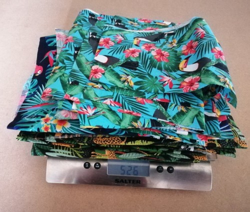 Leopards toucans and parrots - toucans,