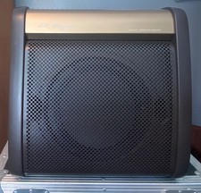 LR BAGGS AR1 Acoustic