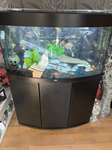 Juwel vision 180 fish tank - vision,