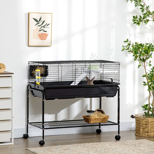 Small animal cage guinea - animal,