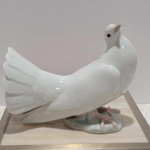 Lladro paloma grande dove - grande,