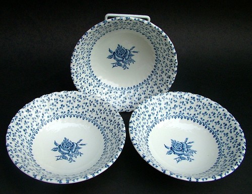 Three royal victoria rose - victoria,