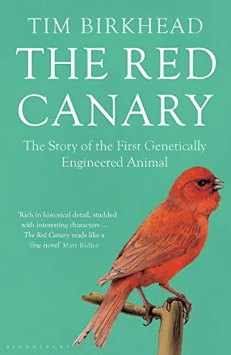 The red canary story - canary:,