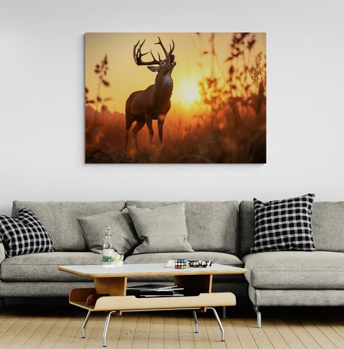 Stag deer animal - deer, canvas