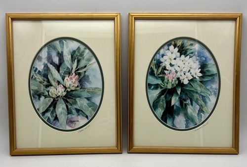 Set anita seitz - set,