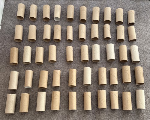 Empty toilet roll - 50, for