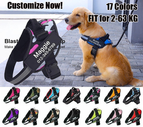 Personalized dog harness - dog, no