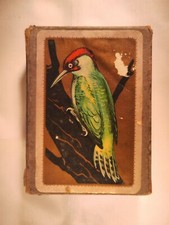 Pack of Vintage Green