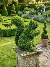Topiary Squirrel Cage Form