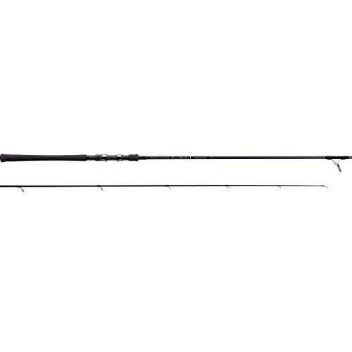 Tenryu spinning rod power - tenryu,