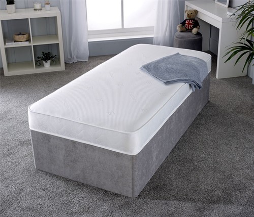 Starlight beds aloe vera - 6",