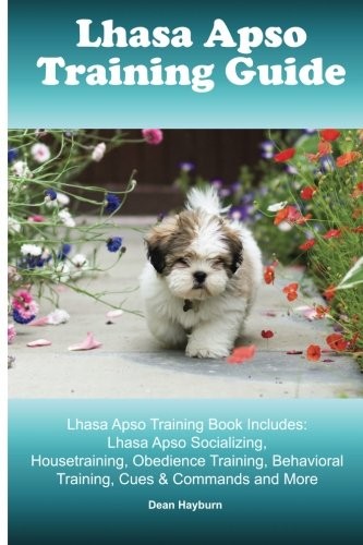 Lhasa apso training guide - lhasa,