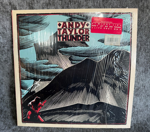 Andy taylor thunder vinyl - andy, lp