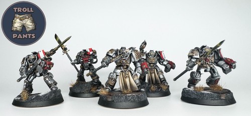 Grey knights paladins - knights, 5