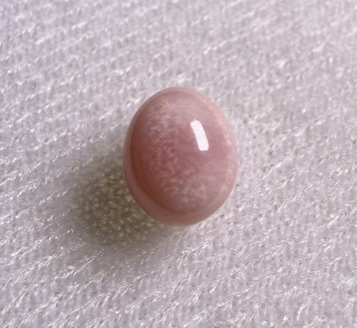 7ct natural conch - natural,