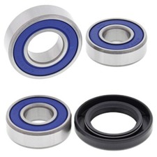 REAR WHEEL BEARINGS WITH