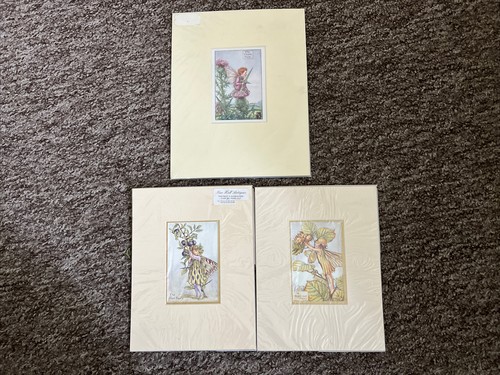 Cicely mary barker flower - 3,