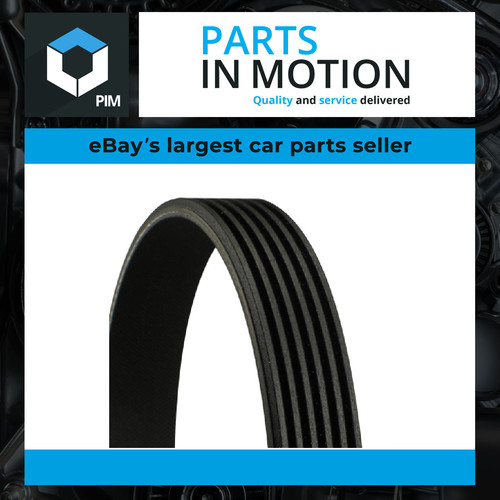 Rib multi drive belt - 6,