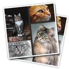 2x Vinyl Stickers Beautiful