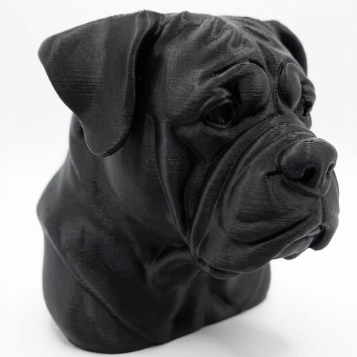 Bullmastiff dog bust home - bust,