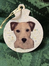 Handpainted Rough Coat Jack