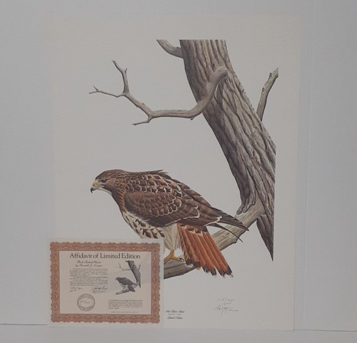 Ronald louque red - ronald, "red-tailed