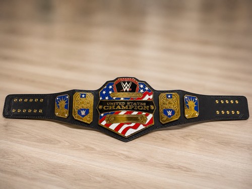 Wwe 2014 championship - wwe,