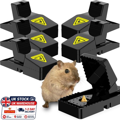 Mouse traps heavy - heavy, mice