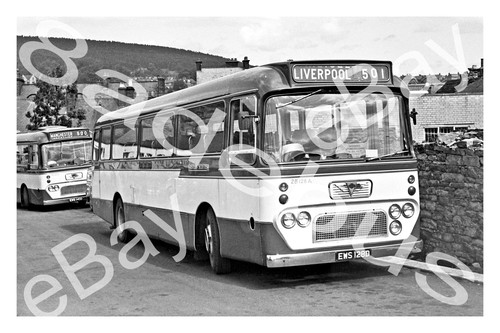 Bus photograph eastern - photograph,