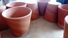 Terracotta Flower Plant Clay