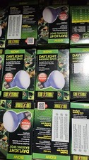 10 x Exo Terra Daylight