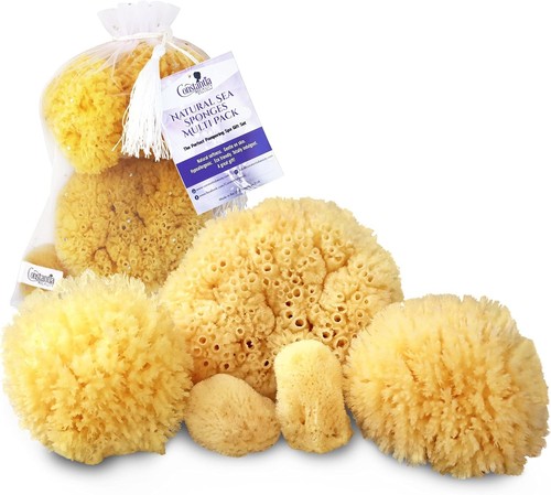 Natural sea sponges 5pc bath - sea,