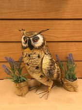 Eurasian Eagle Owl Bird Garden