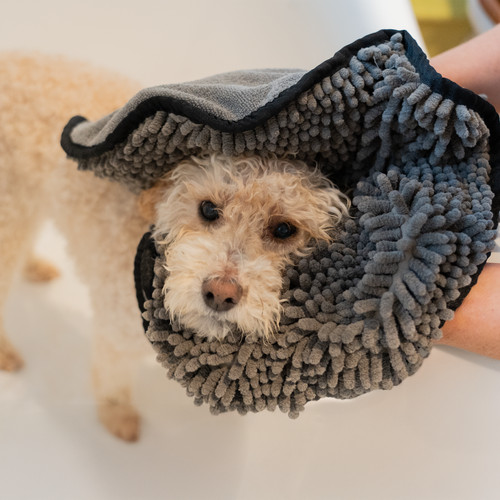 Noodle dog wash quick drying - noodle,