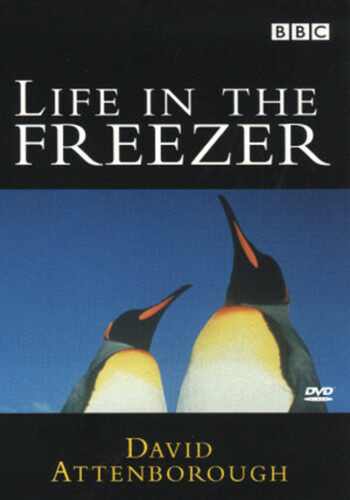 David attenborough life in - -,