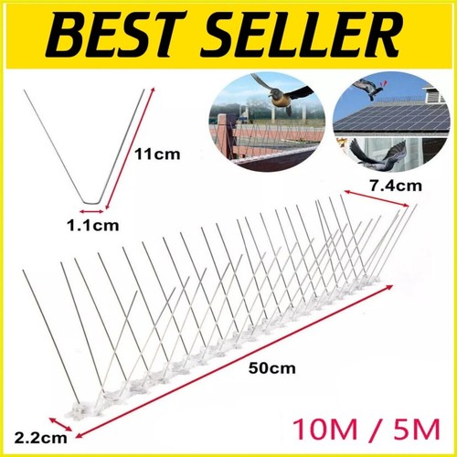 10m pigeon bird - 10m, spikes