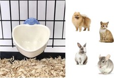 Dog Puppy Cat Pet Animal Cage