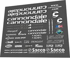 Saeco Cannondale CAAD4 Mario Cipollini team issue white DECAL SET
