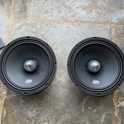 Bassface indyxm10 4ohm - indyxm10/4, 10"