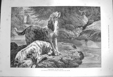 Original Old Antique Print