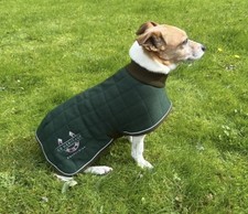 Therma-Dry Like Thermatex Dog