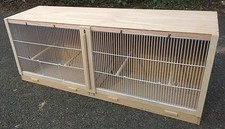 Double finch breeding - finch,