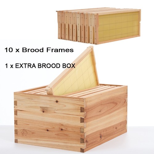 Spares brood box compatible - box,